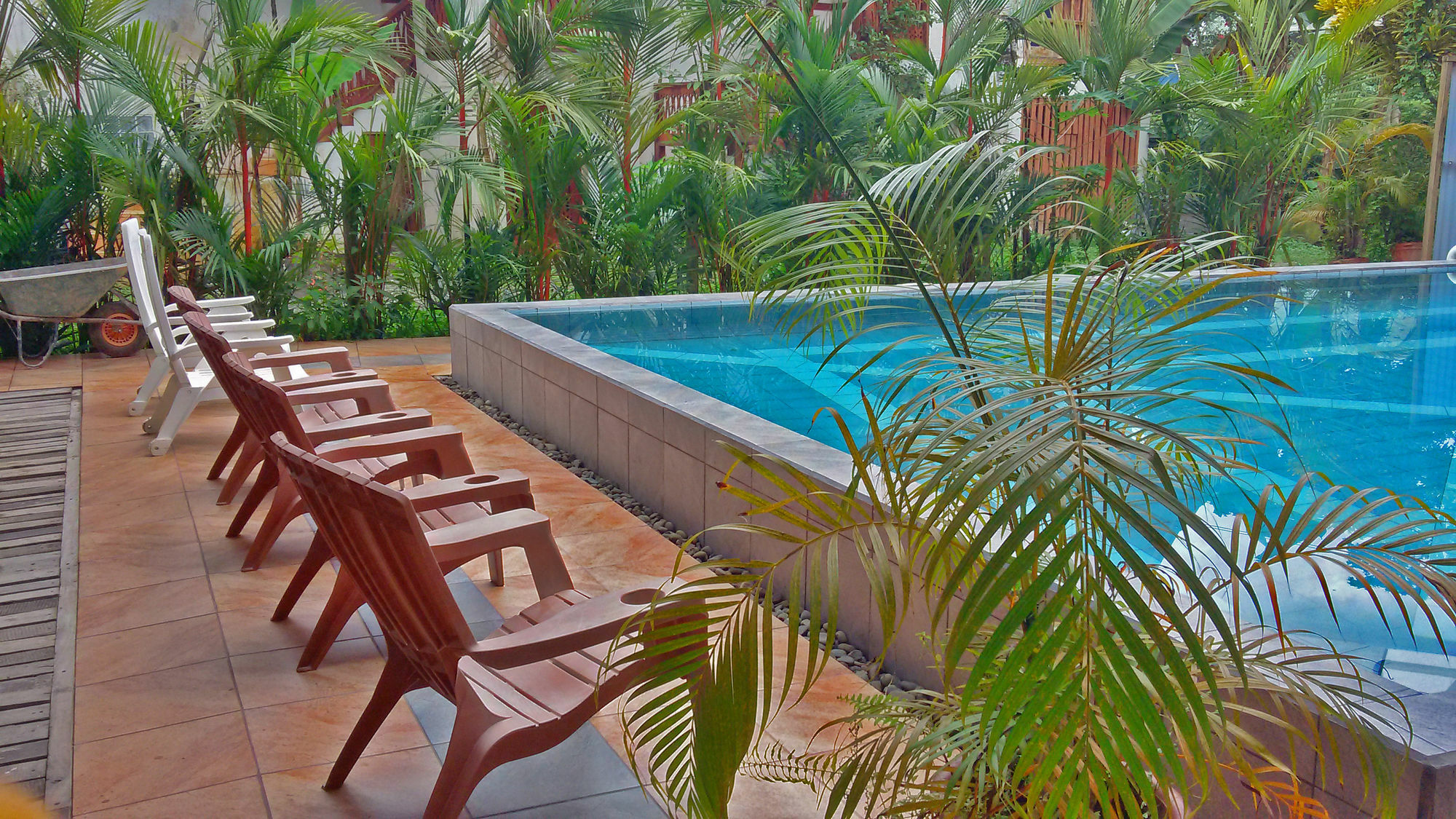 Lizard King Resort Puerto Viejo de Talamanca Extérieur photo